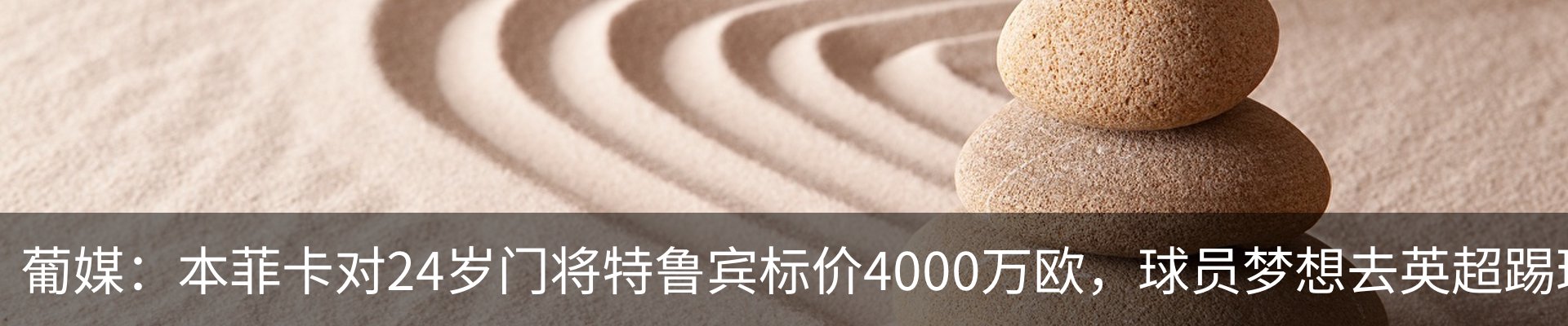 新闻动态