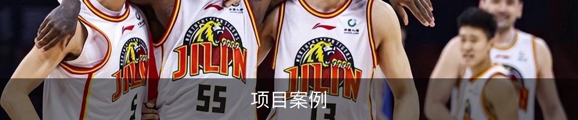 项目案例