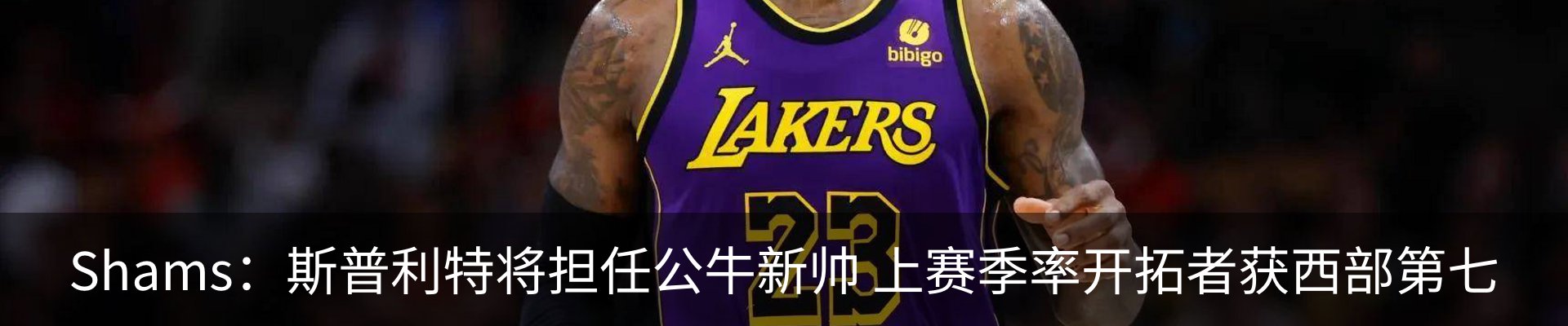 新闻动态